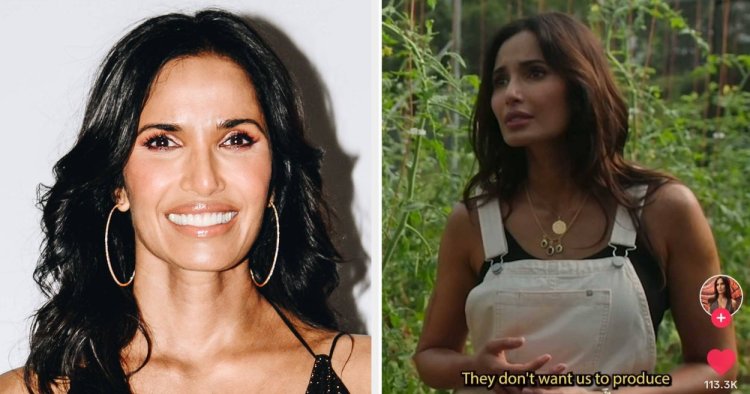 Padma Lakshmi Went Viral For Calling Out The "Ridiculous Tax" On Puerto Rican Food Thanks To This 100-Year-Old US Law