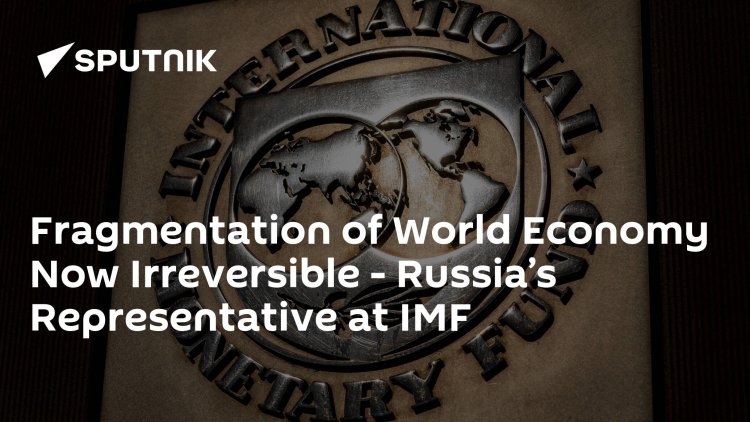 Fragmentation of World Economy Now Irreversible - Russia’s Representative at IMF
