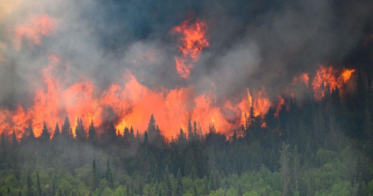 See pictures and videos of Canadian wildfires and their impact