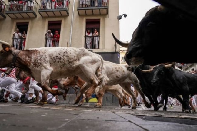 Runners hit Pamplona's streets for annual dash with the bulls