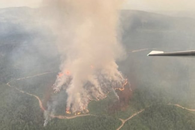 Evacuation orders, alerts issued for properties south of Smithers, B.C., due to wildfire