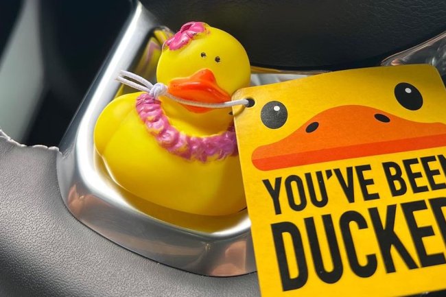What the Duck? Rubber Birds Left On Jeeps Baffle the Nation
