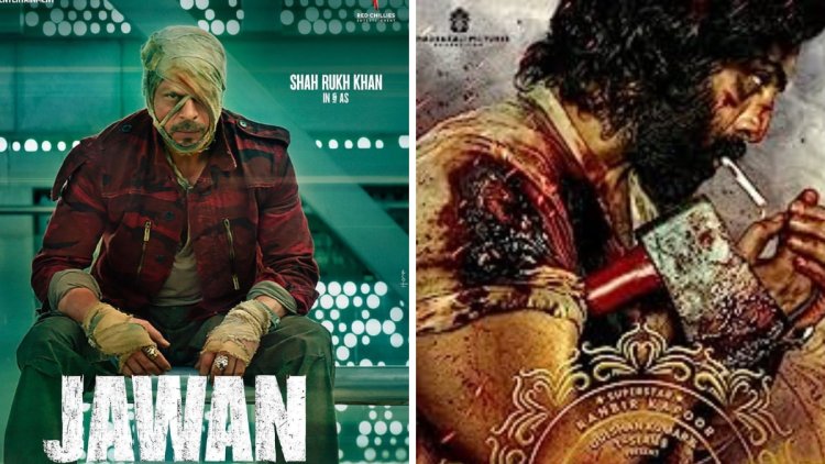 Will Bollywood hit jackpot with big releases like Jawan, Animal?