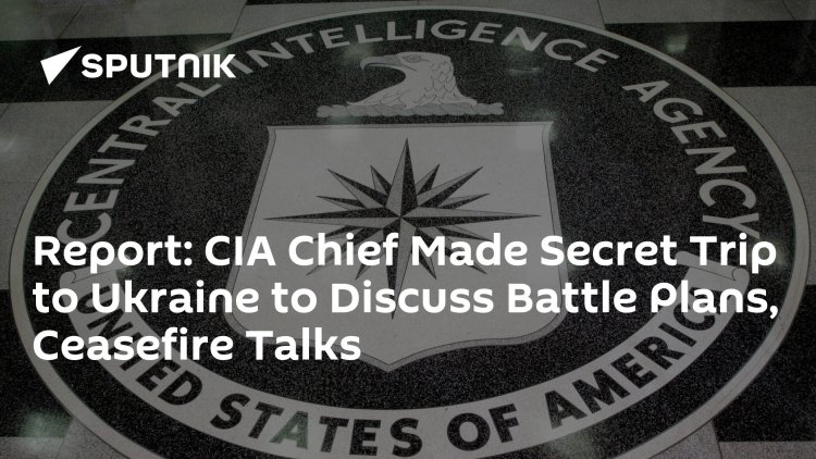 Report: CIA Chief Made Secret Trip to Ukraine to Discuss Battle Plans, Ceasefire Talks