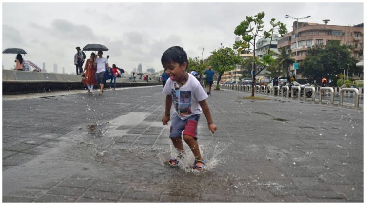Weather Update: IMD Predicts Heavy Rainfall In Mumbai, Palghar, Thane In Next 3-4 Days