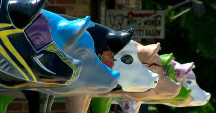 How pig statues are helping the economy in a Minnesota county