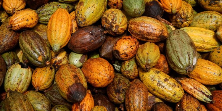 Chocolate Can’t Escape Inflation’s Grip as Cocoa Prices Soar