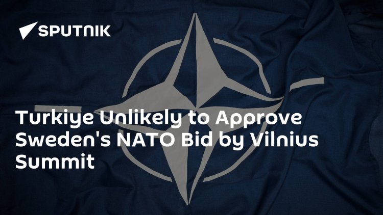 Turkey Unlikely to Approve Sweden's NATO Bid by Vilnius Summit