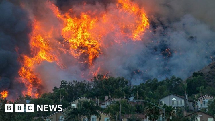 [World] Are wildfires in the US getting worse?