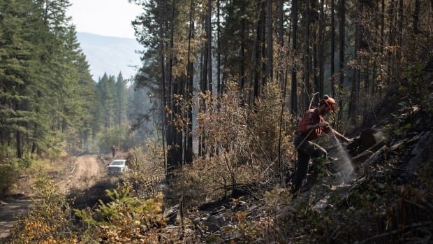 Firefighters across Canada focusing more on mental health as wildfire seasons worsen
