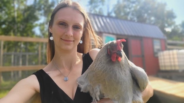 'My poor chicken': Manitoba hen's 'ginormous' egg weighs more than twice as much as average