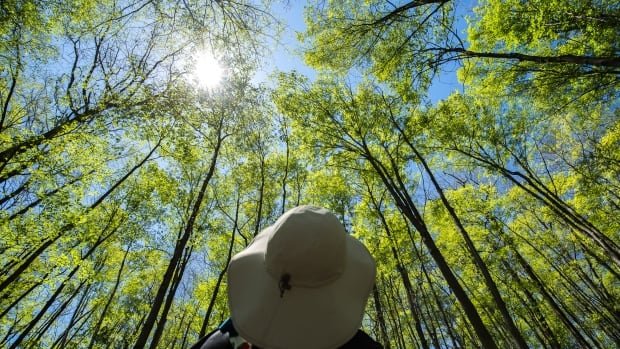 Saving nature: WWF study highlights the best places for ecological restoration in Canada