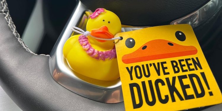 What the Duck? Rubber Birds Left On Jeeps Baffle the Nation