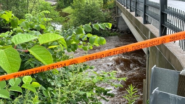 Summer storms raise flood risk, force evacuations in southern and central Quebec