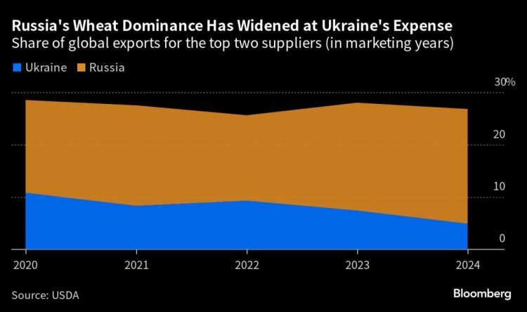Ukraine Recap: Putin Downbeat on Grain Deal in Ramaphosa Call