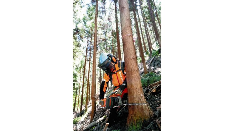 建設業者「山守る」…岩手で取り組み 担い手不足の林業参入