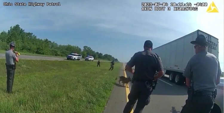 Ohio police dog mauled unarmed Black man as he surrendered to officers, video shows