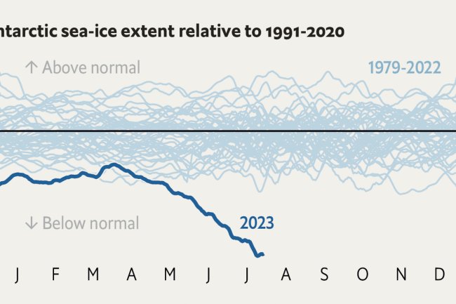 The rapid loss of Antarctic sea ice brings grim scenarios into view