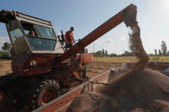 俄罗斯为重返粮食协议提条件 乌克兰与波兰之间的危机迹象