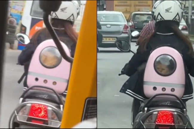 Woman’s scooter ride with pet cat in her backpack is a Peak Bengaluru moment