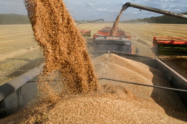 Cereal crisis: Why government is rushing to tame rice, wheat prices
