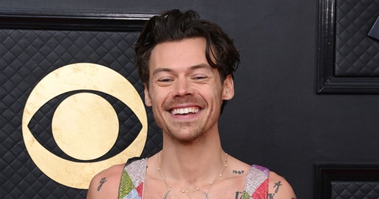 Harry Styles’ ‘Love on Tour’ Donates $6.5 Million to Over 25 Charities