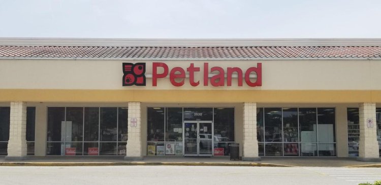 19-year-old suspect arrested after allegedly killing several animals at OKC pet store
