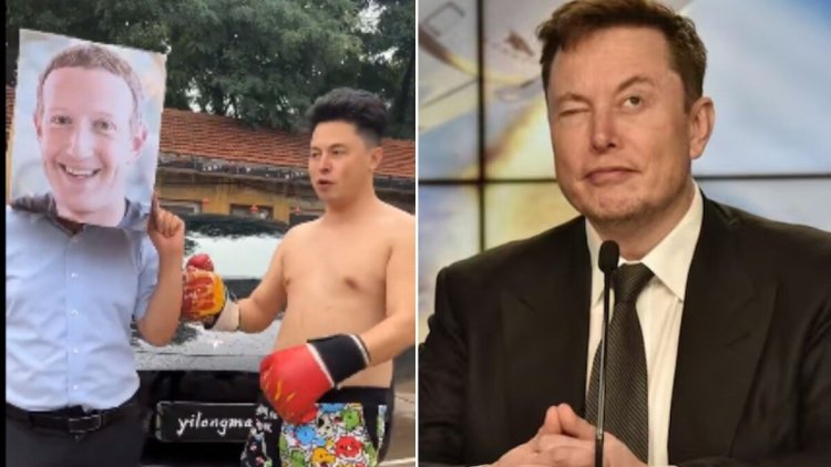 This is what Elon Musk said after watching his doppelganger's boxing video