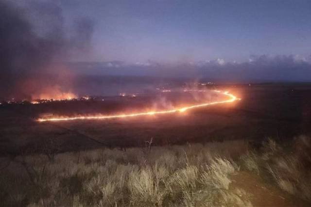 夏威夷山火已致80死，当地居民跳海逃生！电力公司被起诉