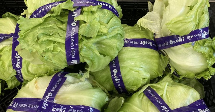 野菜小売価格、8品目すべて上昇 農水省調べ