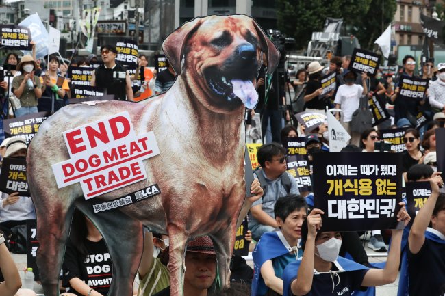 한국, ‘개 식용 금지’될까…與 “당론으로” 野 “특별법 제정”
