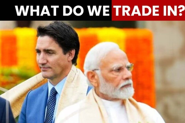 India-Canada row: Will trade survive amidst tensions?