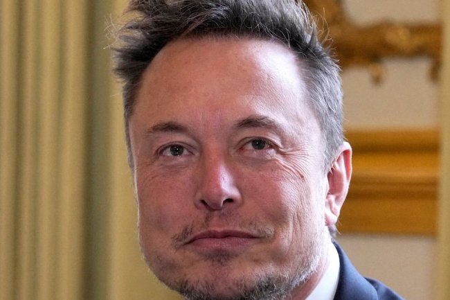 An Order From the President: Target Elon Musk