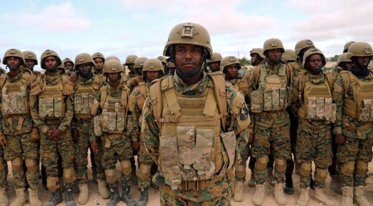 بعد مقتل 30 إرهابياً.. باحثة مصرية لـ«عكاظ»: الجيش الصومالي نجح في قهر «حركة الشباب»