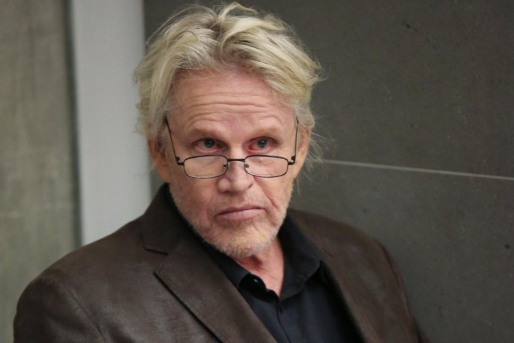 Gary Busey involved in a hit-and-run accident in Malibu, police say