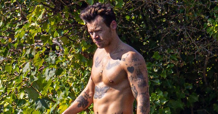 You're Welcome: Harry Styles Flashes Ridiculously Toned Abs While Swimming