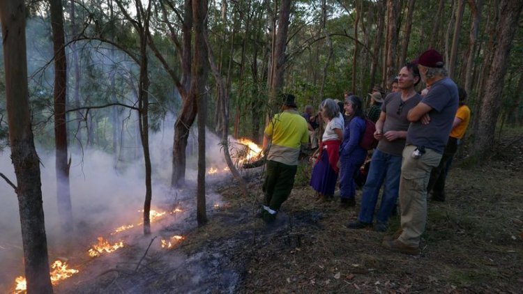 As Australia braces for bushfire season, Indigenous 'cultural burning' makes a comeback