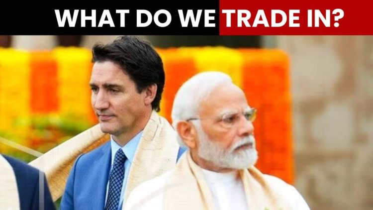 India-Canada row: Will trade survive amidst tensions?