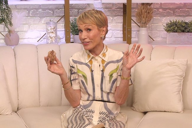 Shark Tank's Barbara Corcoran Wishes She Had 'A Handsome Guy' in Her Bag