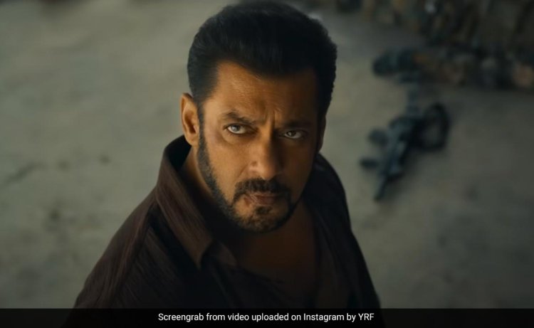Salman Khan Decodes The "Marketing Plan" For Tiger 3