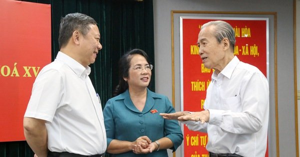 Bà Trần Kim Yến: 'Cán bộ nào có tư tưởng làm sai thì mới không dám làm'
