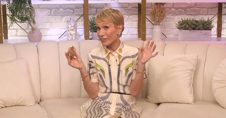 Shark Tank's Barbara Corcoran Wishes She Had 'A Handsome Guy' in Her Bag