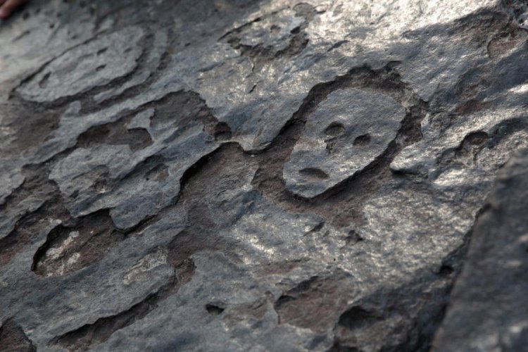 Ancient rock carvings revealed by receding Amazon waters amid drought