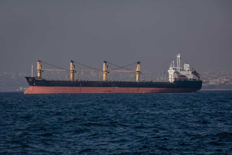 Minister: 700,000 metric tons of grain exported via Ukrainian Black Sea corridor