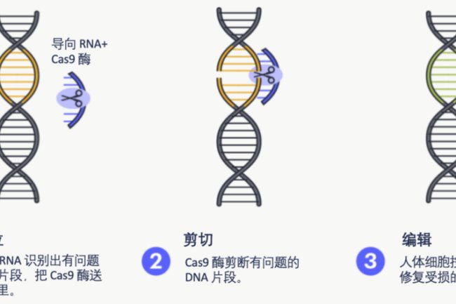 CRISPR疗法获批，一场攻克癌症的技术预演