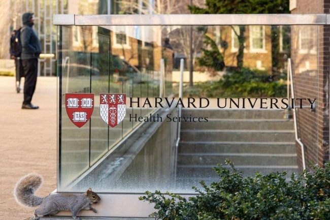 Harvard Is Big Business at Its Worst