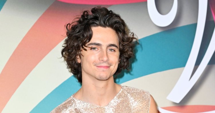 Timothee Chalamet Takes on the Sheer Trend in Sparkly Top at Paris ‘Wonka’ Premiere