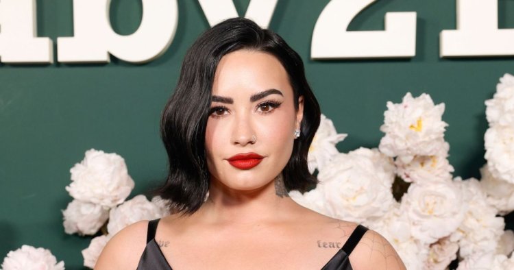 Demi Lovato Reveals Which Reimagined Song Was Most Meaningful to Record