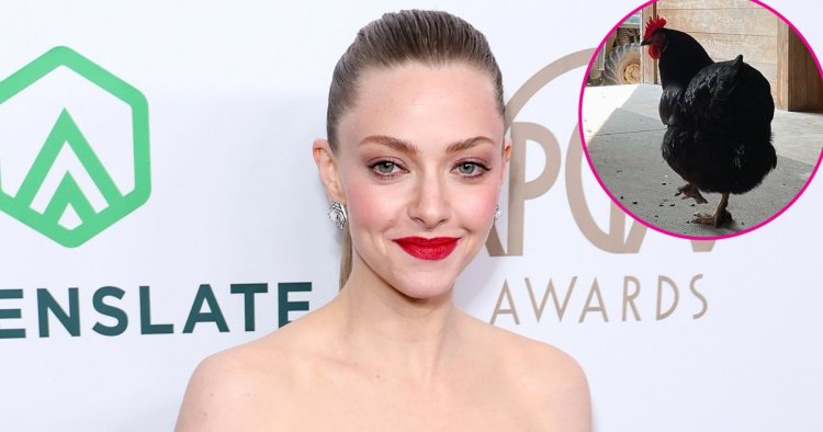 Cluck, Cluck! Amanda Seyfried and More Stars Who Have Pet Chickens