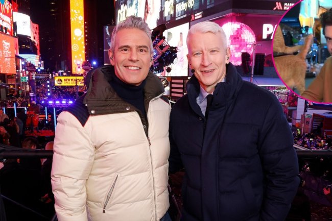 Anderson Cooper Loses It Over John Mayer's Cat Cafe Cameo: NYE Highlights